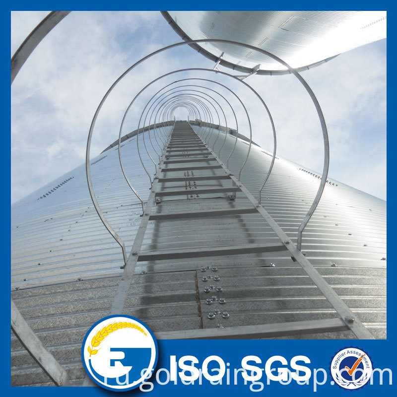 Силосная лестница Silo Ladder